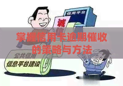 掌握信用卡逾期的策略与方法