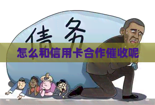 怎么和信用卡合作呢