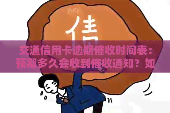 交通信用卡逾期时间表：预期多久会收到通知？如何应对逾期还款？