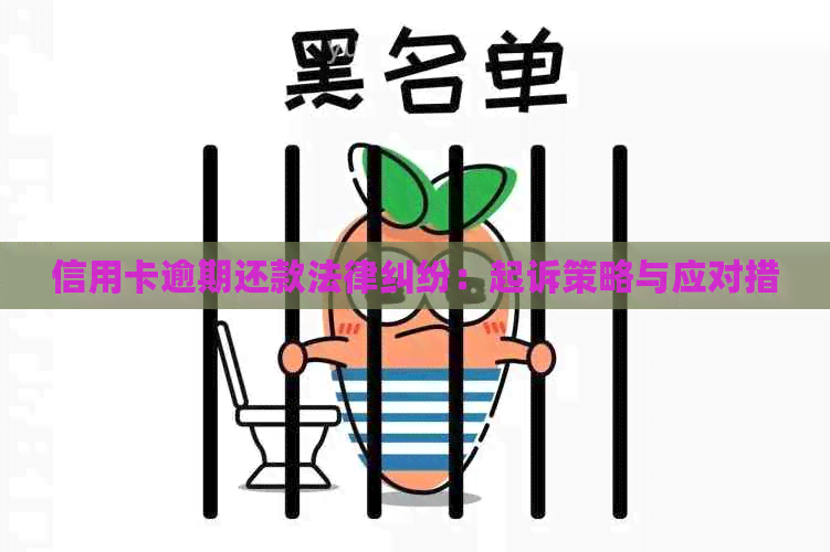 信用卡逾期还款法律纠纷：起诉策略与应对措