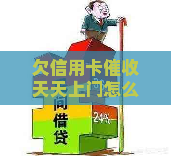 欠信用卡天天上门怎么投诉：电话、流程及报警途径全解析