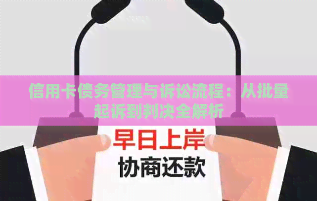 信用卡债务管理与诉讼流程：从批量起诉到判决全解析