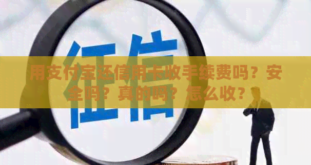 用支付宝还信用卡收手续费吗？安全吗？真的吗？怎么收？