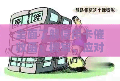 全面了解信用卡函：撰写、应对与影响分析
