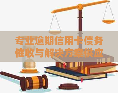 专业逾期信用卡债务与解决方案供应商