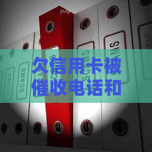 欠信用卡被电话和上门是否能报警？如何应对？