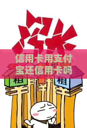 信用卡用支付宝还信用卡吗可以吗？花呗和借呗可以用来还信用卡吗？