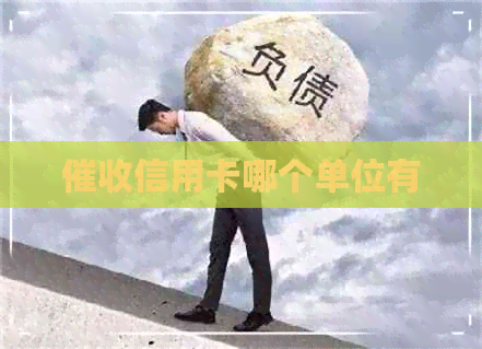 信用卡哪个单位有