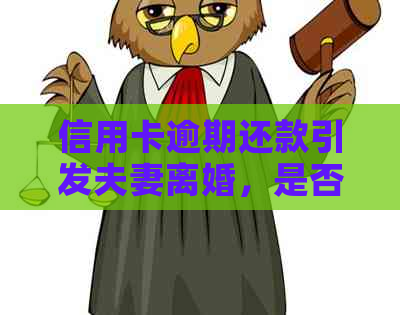 信用卡逾期还款引发夫妻离婚，是否可以起诉追讨欠款？