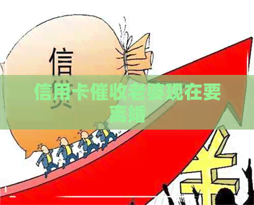信用卡老婆现在要离婚