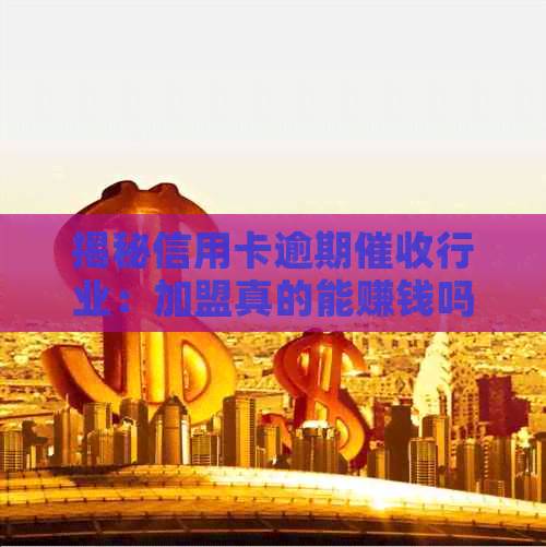 揭秘信用卡逾期行业：加盟真的能赚钱吗？