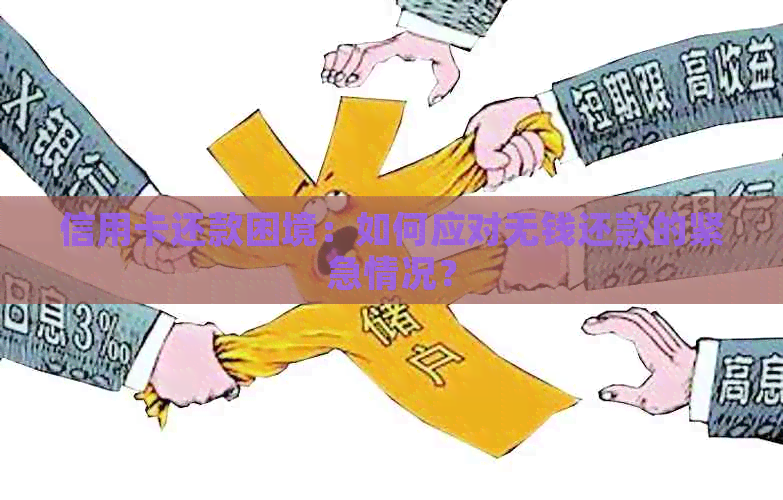 信用卡还款困境：如何应对无钱还款的紧急情况？