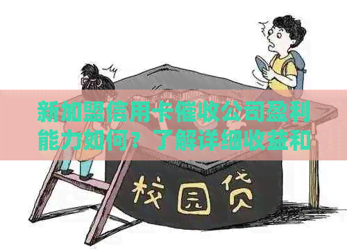新加盟信用卡公司盈利能力如何？了解详细收益和风险因素