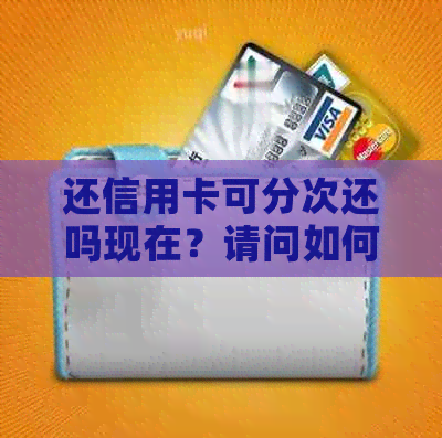 还信用卡可分次还吗现在？请问如何操作？