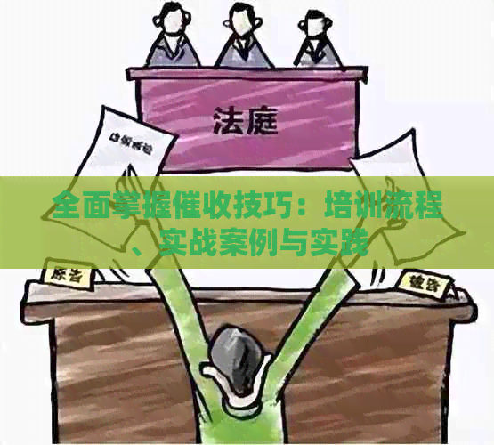 全面掌握技巧：培训流程、实战案例与实践