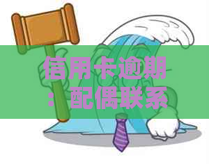 信用卡逾期：配偶联系方式的重要性及其合法性探讨