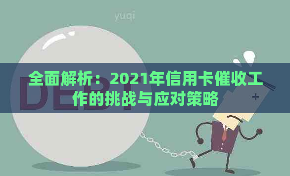 全面解析：2021年信用卡工作的挑战与应对策略