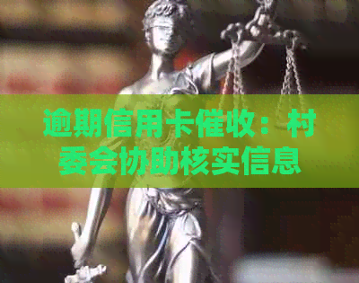 逾期信用卡：村委会协助核实信息合法性的真实案例分析