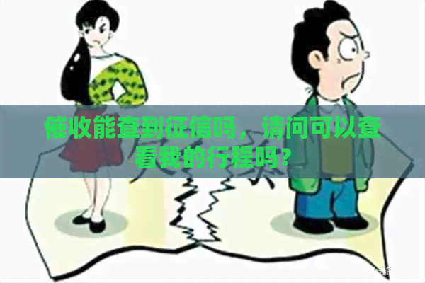 能查到吗，请问可以查看我的行程吗？