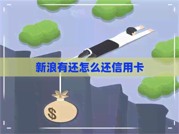 新浪有还怎么还信用卡