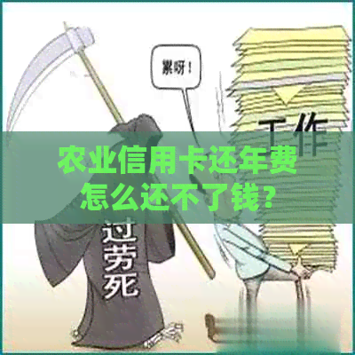 农业信用卡还年费怎么还不了钱？