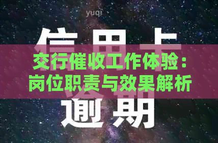 交行工作体验：岗位职责与效果解析