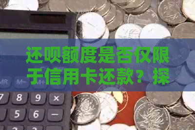 还款额度是否仅限于信用卡还款？探讨其它金融工具的可能性