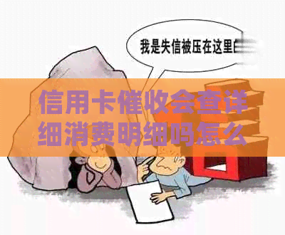信用卡会查详细消费明细吗怎么查？