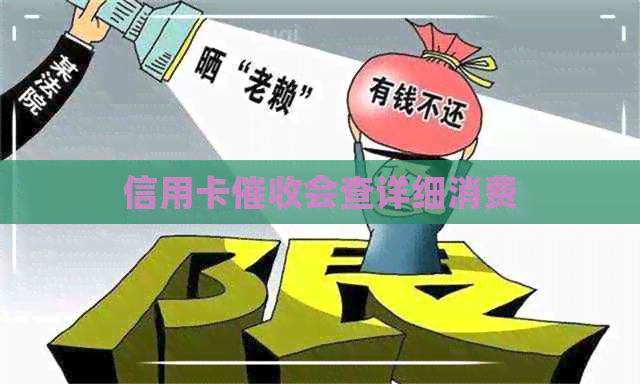 信用卡会查详细消费