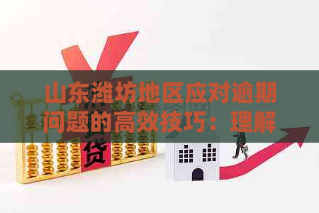 山东潍坊地区应对逾期问题的高效技巧：理解和应对电话的策略