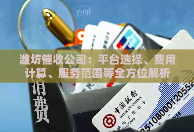 潍坊公司：平台选择、费用计算、服务范围等全方位解析