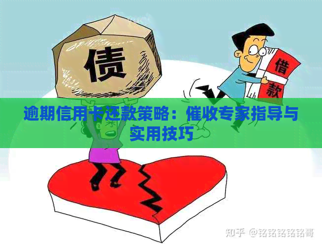 逾期信用卡还款策略：专家指导与实用技巧