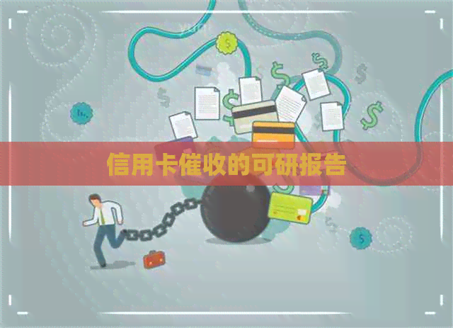 信用卡的可研报告