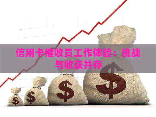信用卡员工作体验：挑战与收获并存
