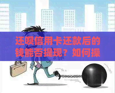 还款信用卡还款后的钱能否提现？如何操作？