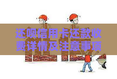 还款信用卡还款收费详情及注意事项，全面解答用户疑惑