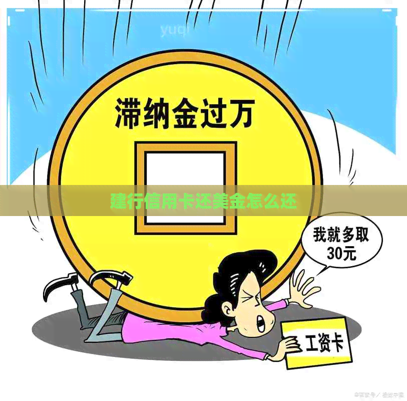 建行信用卡还美金怎么还