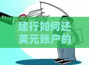 建行如何还美元账户的信用卡：还款流程详解