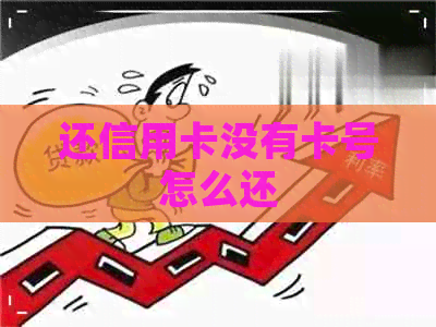 还信用卡没有卡号怎么还