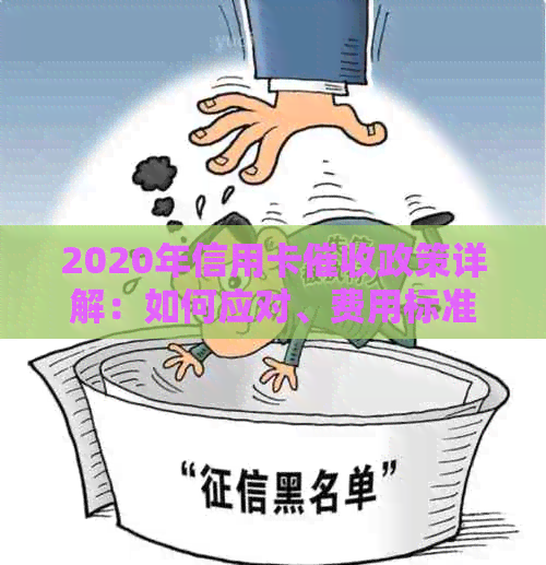 2020年信用卡政策详解：如何应对、费用标准及法律保护全解析