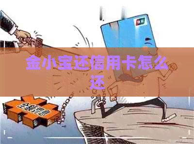 金小宝还信用卡怎么还