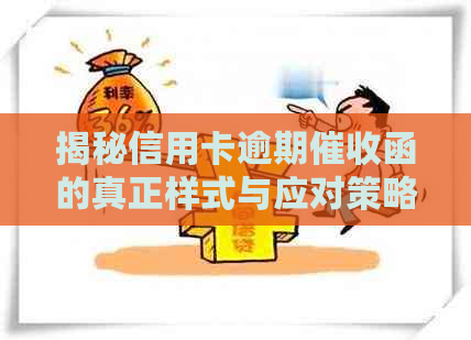 揭秘信用卡逾期函的真正样式与应对策略