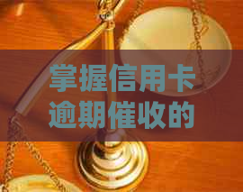 掌握信用卡逾期的关键步骤与要求，成功开设公司