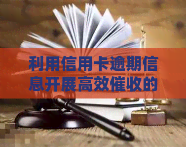 利用信用卡逾期信息开展高效的策略与实践