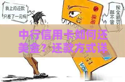 中行信用卡如何还美金？还款方式详解