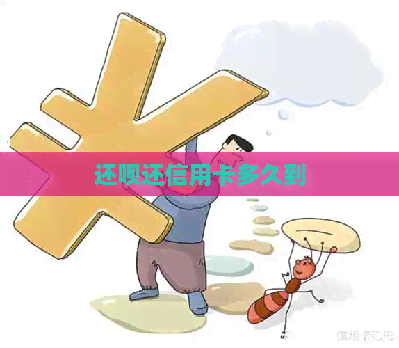 还款还信用卡多久到