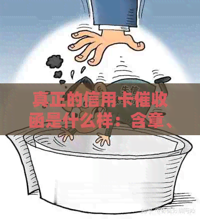 真正的信用卡函是什么样：含章、2020年规定，与做相关
