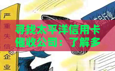 寻找太平洋信用卡公司：了解多家可选公司并比较其服务特点与费用