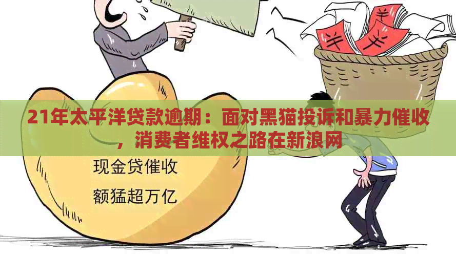 21年太平洋贷款逾期：面对黑猫投诉和，消费者     之路在新浪网