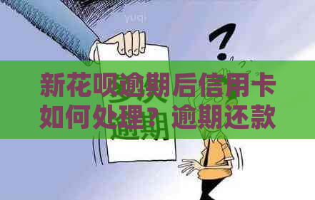 新花呗逾期后信用卡如何处理？逾期还款解决方案大揭秘！